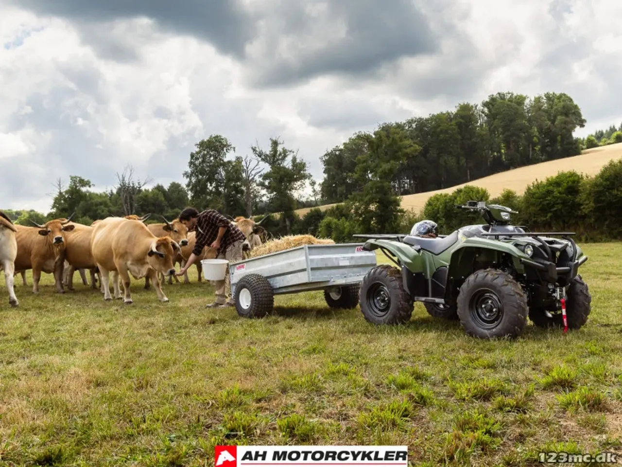 Billede 5 - Yamaha Kodiak 700 EPS STD