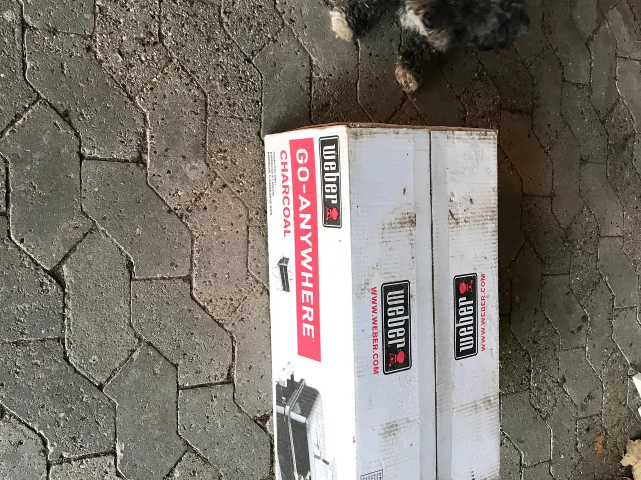 Billede 3 - Weber grill transportabel ( til kul- briketter)