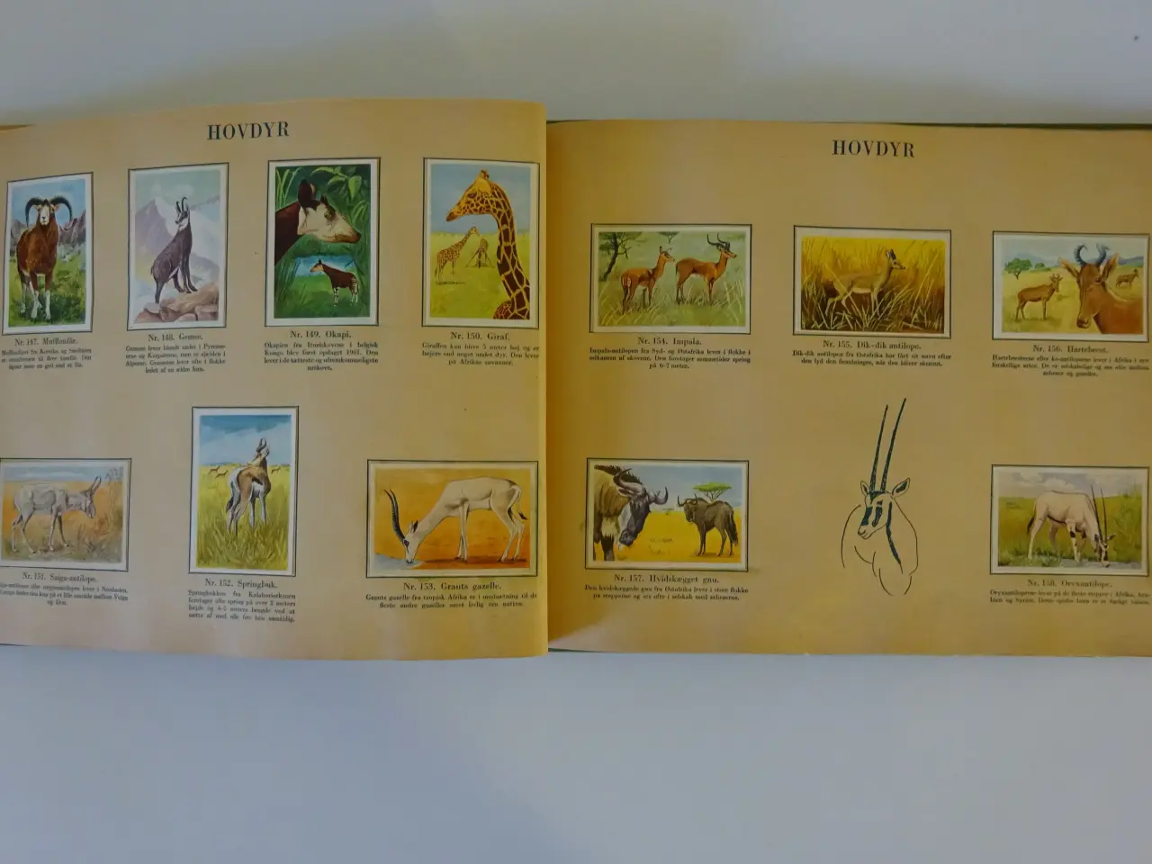 Billede 5 - Danmarks Album