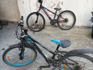 Cube cykler