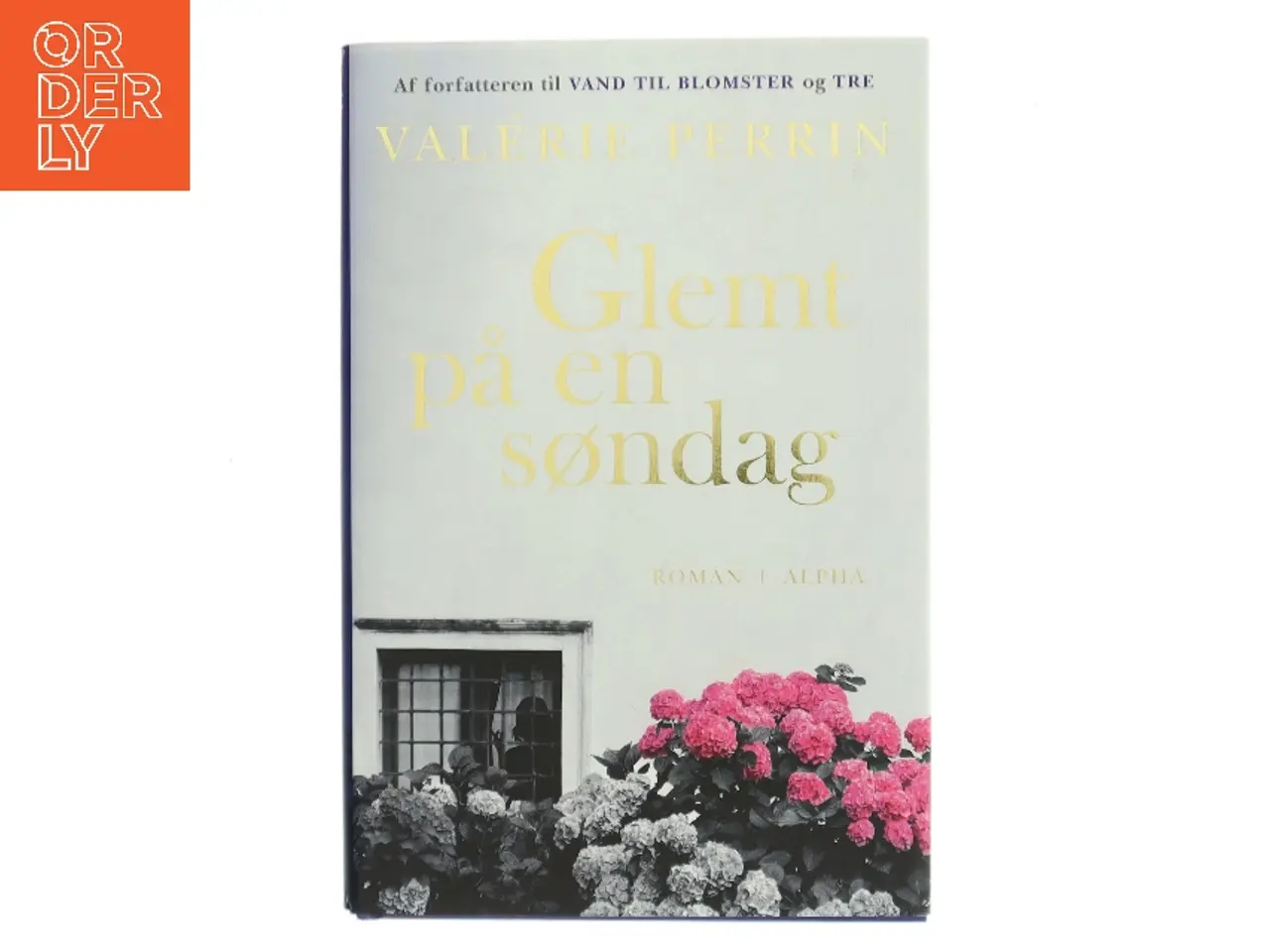 Billede 1 - Glemt på en søndag af Valérie Perrin (Bog)