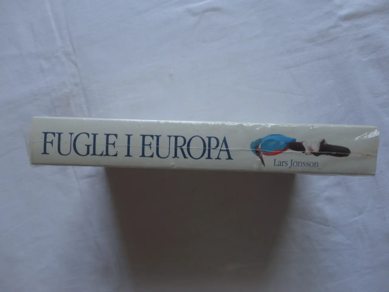 Billede 2 - Fugle i Europa :