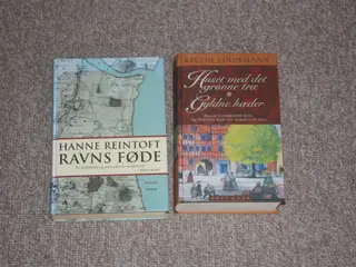 Ravns føde af Hanne Reintoft