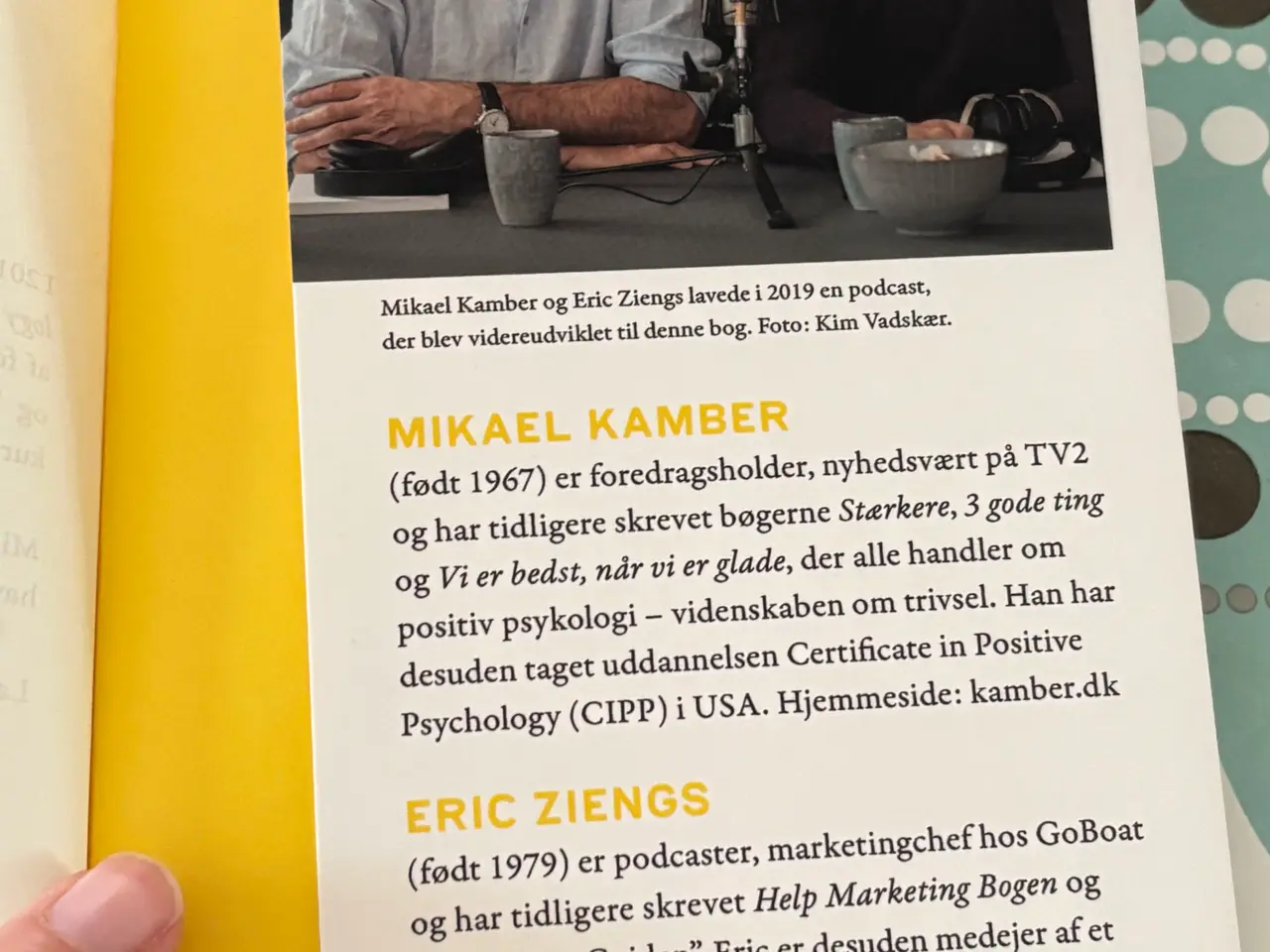 Billede 7 - Mikael Kamber – Sur for en sikkerheds skyld? bog