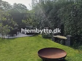 Hjembytte - Rugskellet