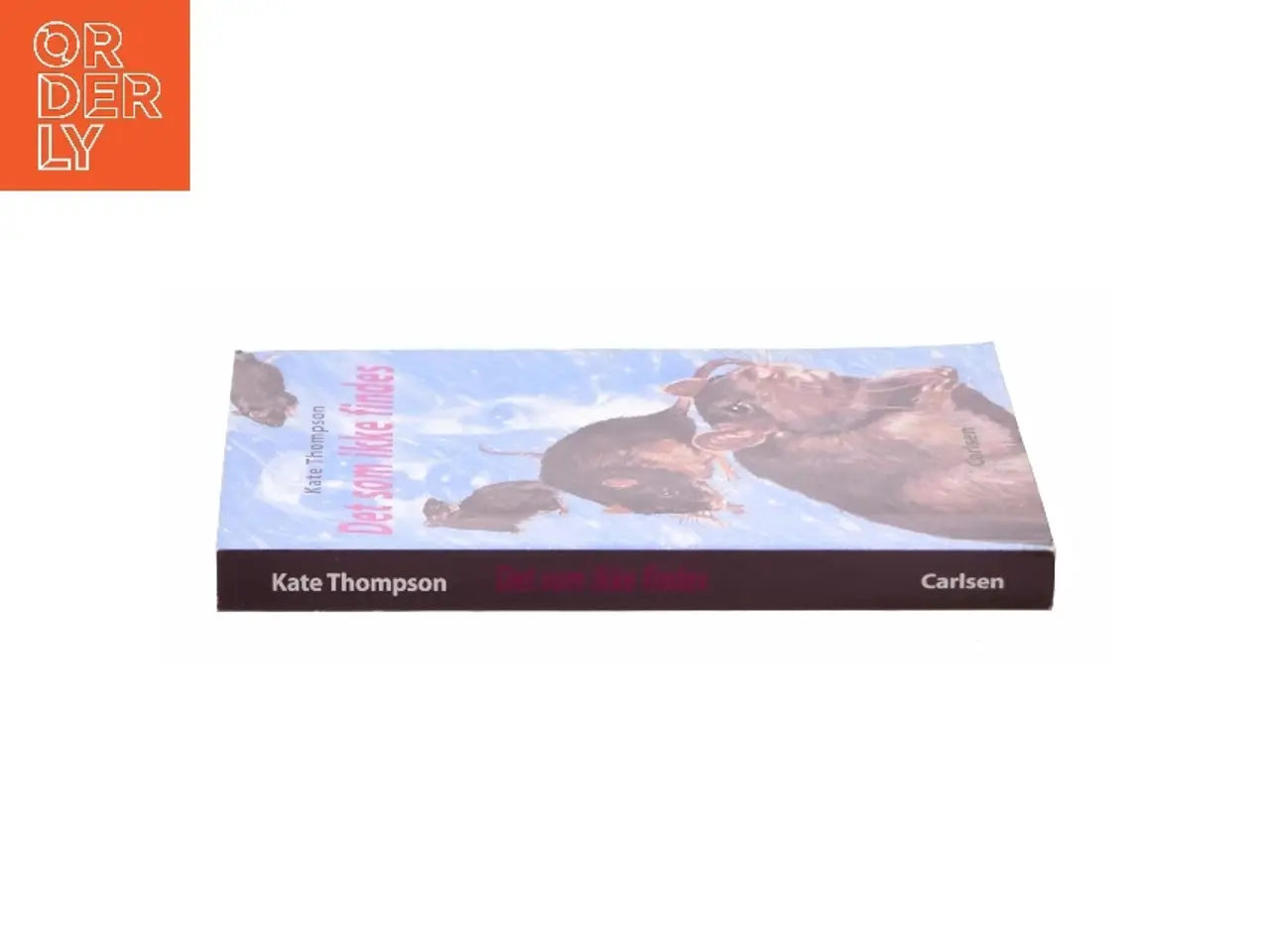 Billede 2 - Det som ikke findes af Kate Thompson (f. 1956) (Bog)