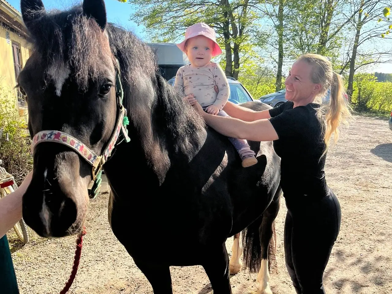 Billede 10 - Max kat 3,super børnepony
