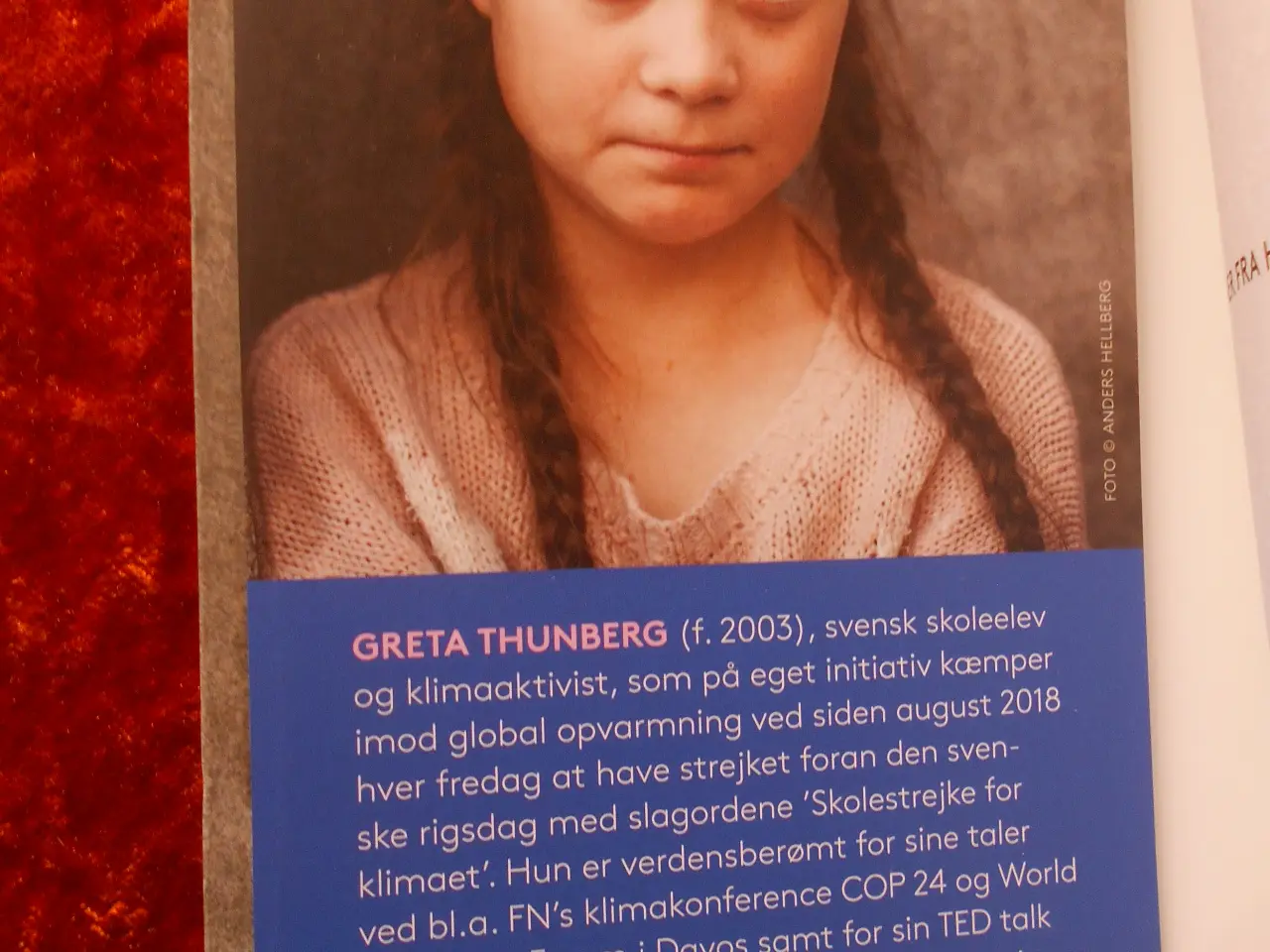 Billede 2 - Scener fra hjertet, Greta Thunberg,