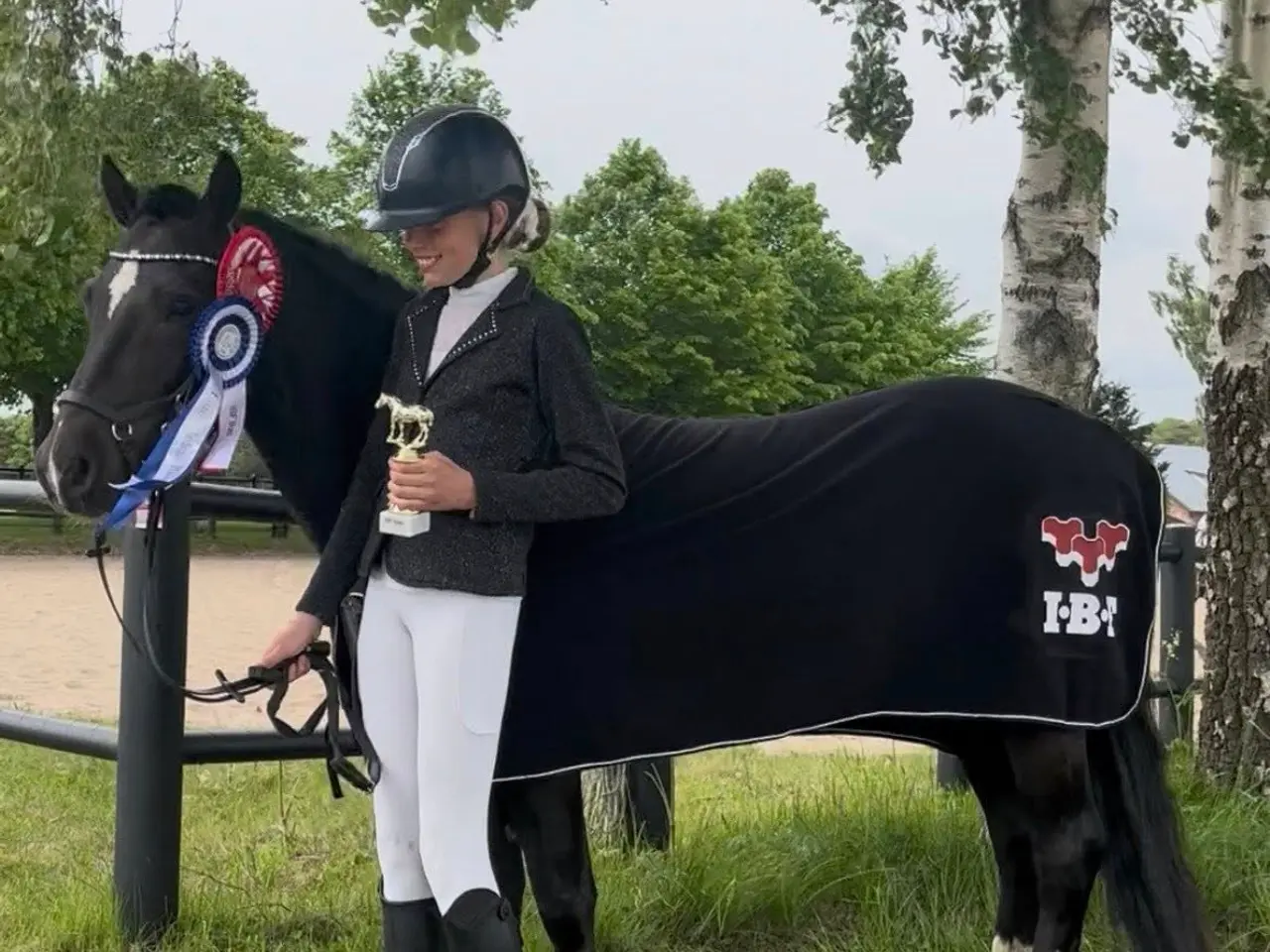 Billede 5 - Max kat 3,super børnepony