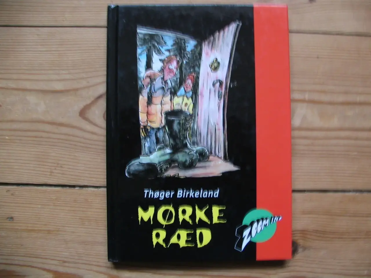 Billede 1 - Thøger Birkeland. Mørkeræd