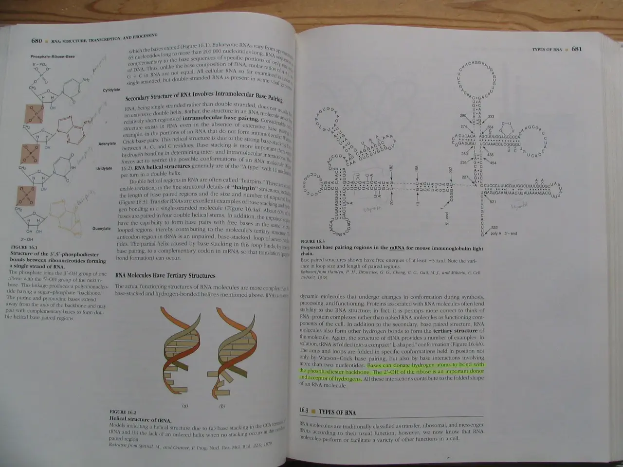 Billede 7 - Textbook of Biochemistry with Clinical Correlation