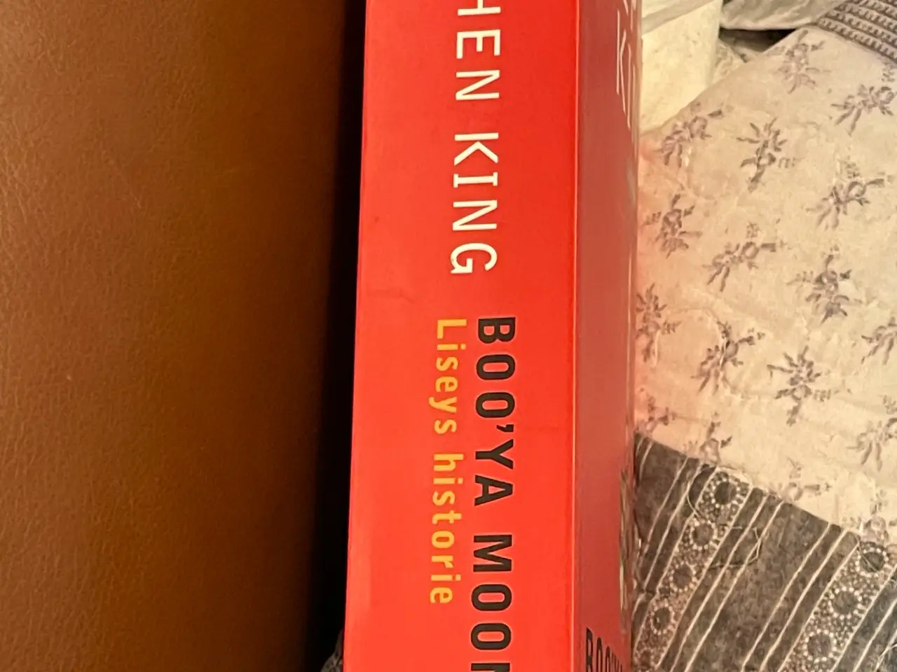 Billede 3 - Boo’ya moon af Stephen King