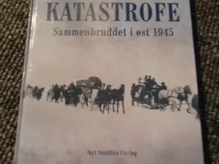 Tyskernes katastrofe