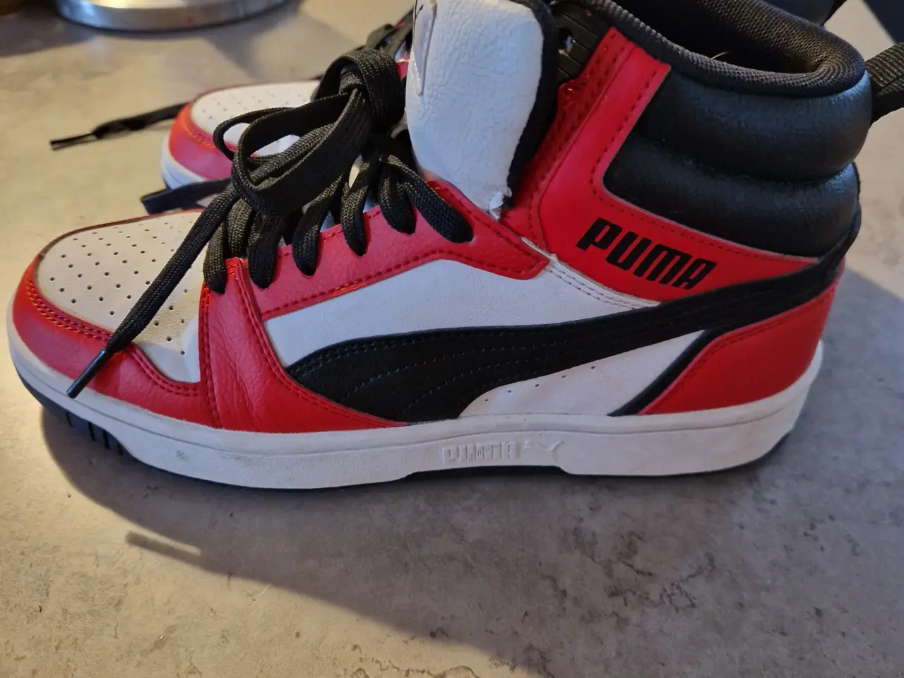 Billede 4 - Puma