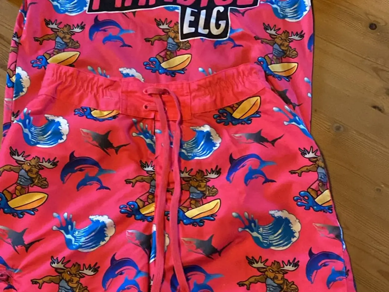 Billede 1 - Den mandige elg