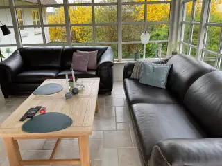 Læder sofaer