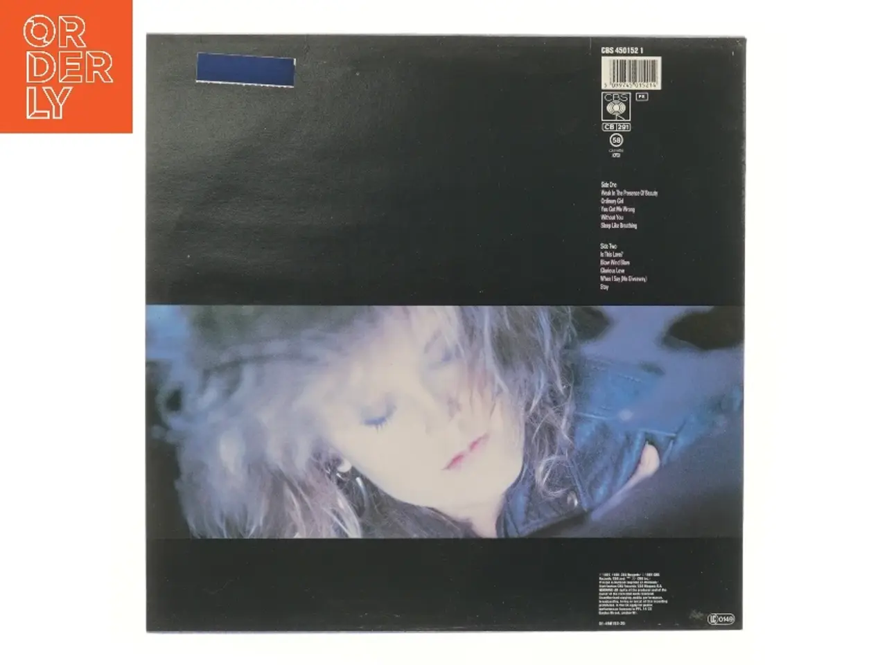 Billede 2 - Raindancing LP af Alison Moyet