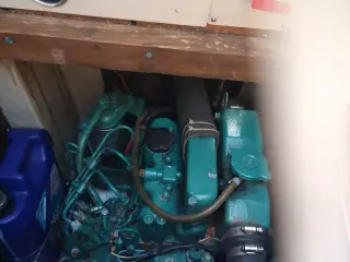 Danboat 29