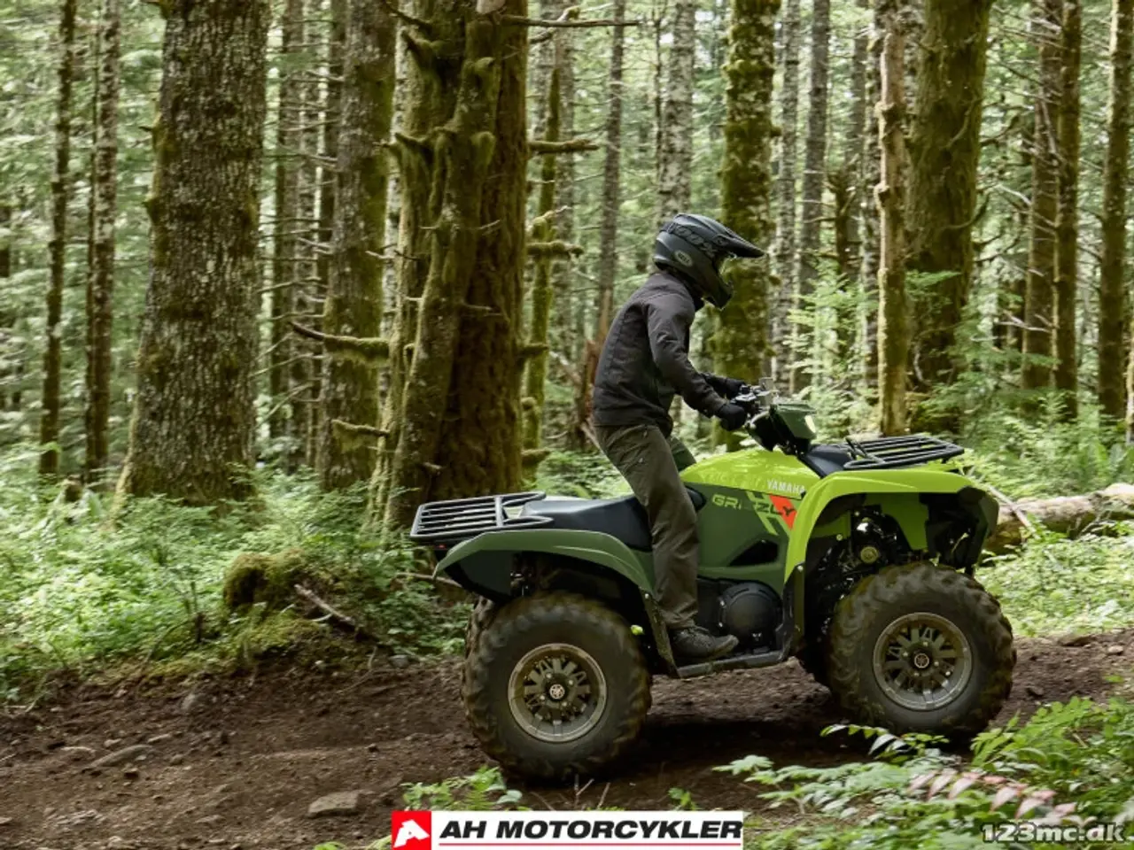 Billede 8 - Yamaha Grizzly 700 EPS