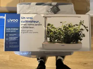 Indendørs have til hjemmet