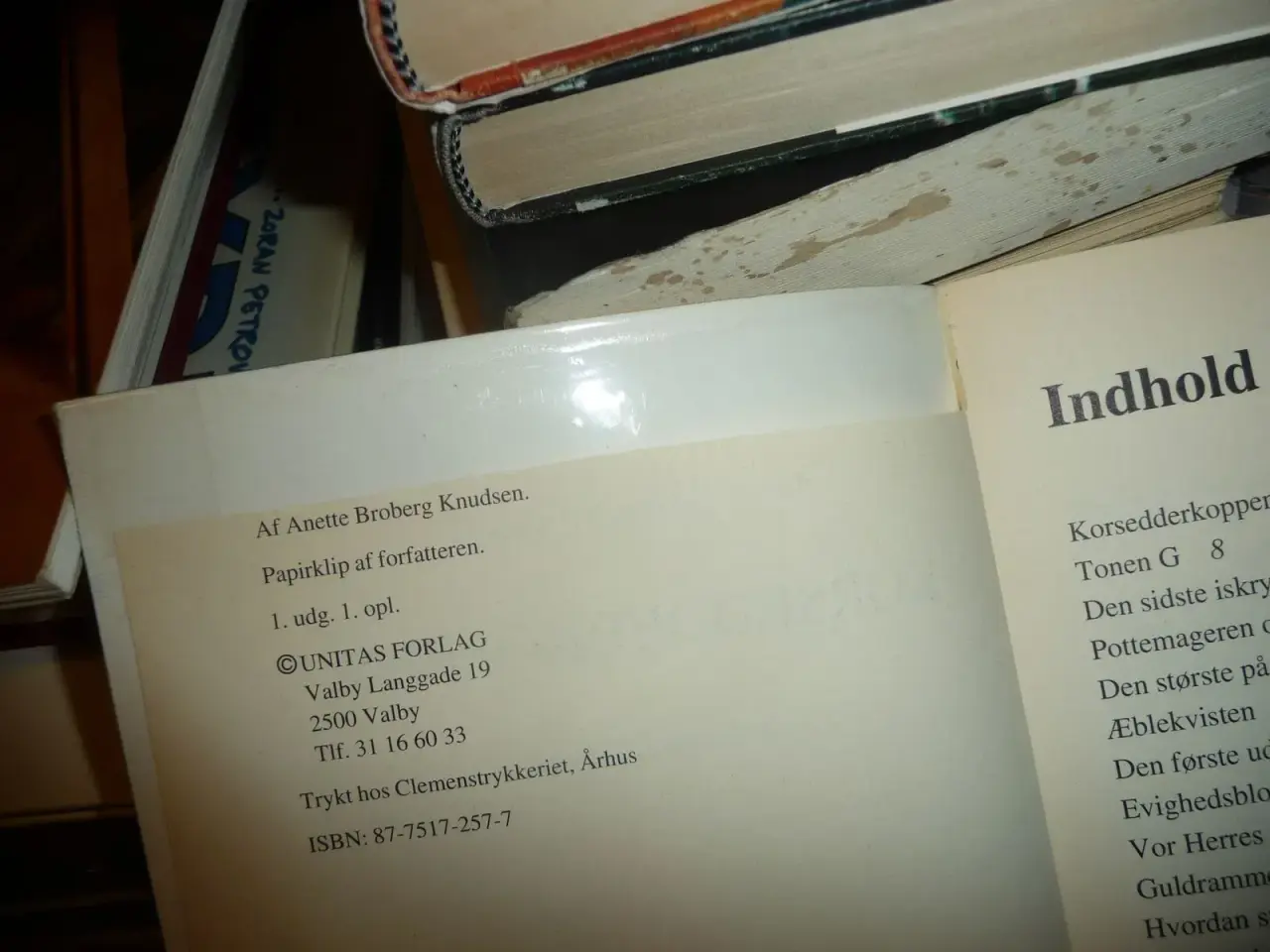 Billede 3 - Korsedderkoppen og andre historier