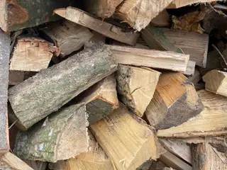bøg og ask ( afhentning eller levering )