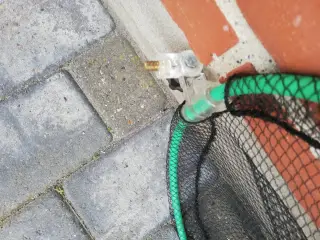 Opbevaring af Fisk