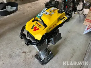 Jordloppe Wacker neuson BS62-4