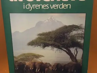 Kunsten at overleve i dyrenes verden