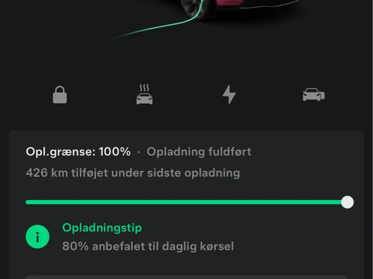 Billede 11 - Long Range AWD FSD, 2021, Hvid, 5 døre