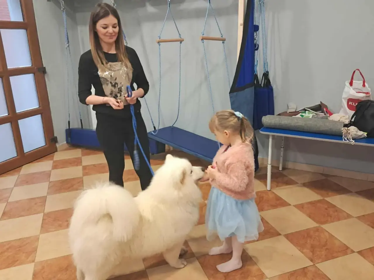Billede 19 - Samojed-hvalpe fra anerkendt FCI-kennel 