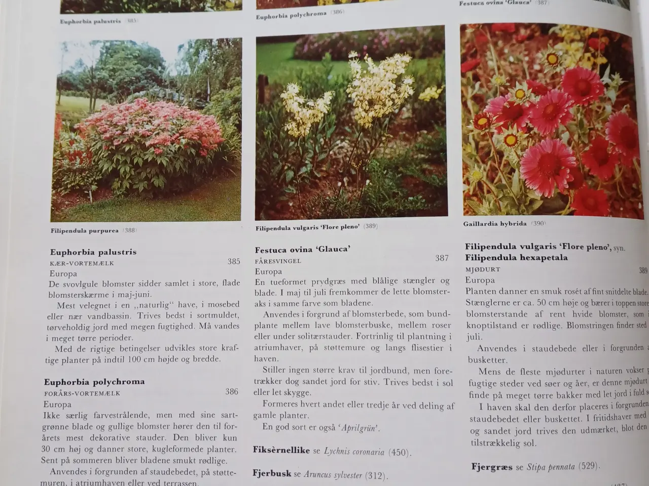 Billede 5 - Lademanns Blomsteratlas af Hay,Roy & Patrick Synge