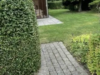 Havemand / Maler / Alt muligmand/ sommerhus