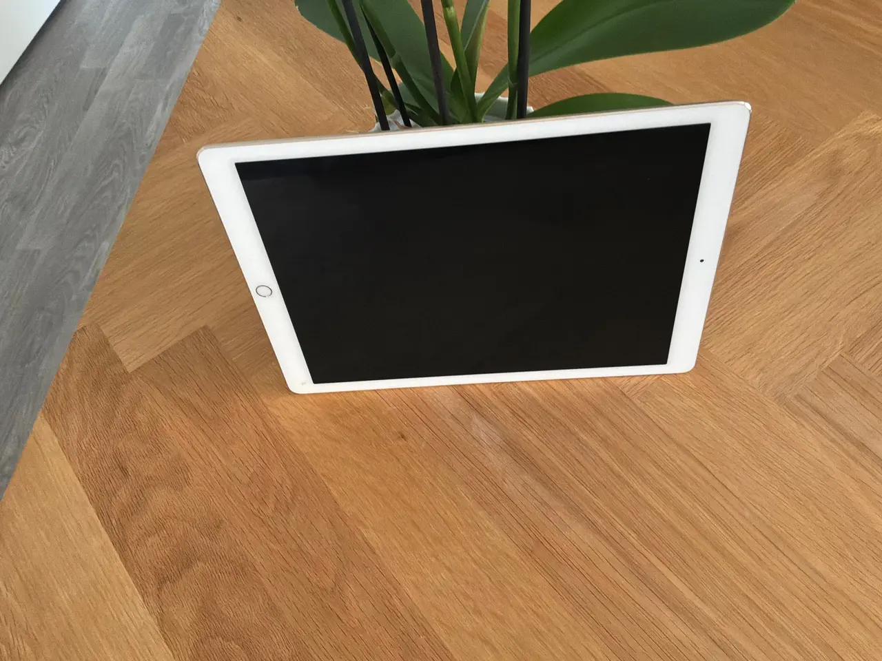 Billede 1 - Apple iPad Pro 12.9" Gen 1