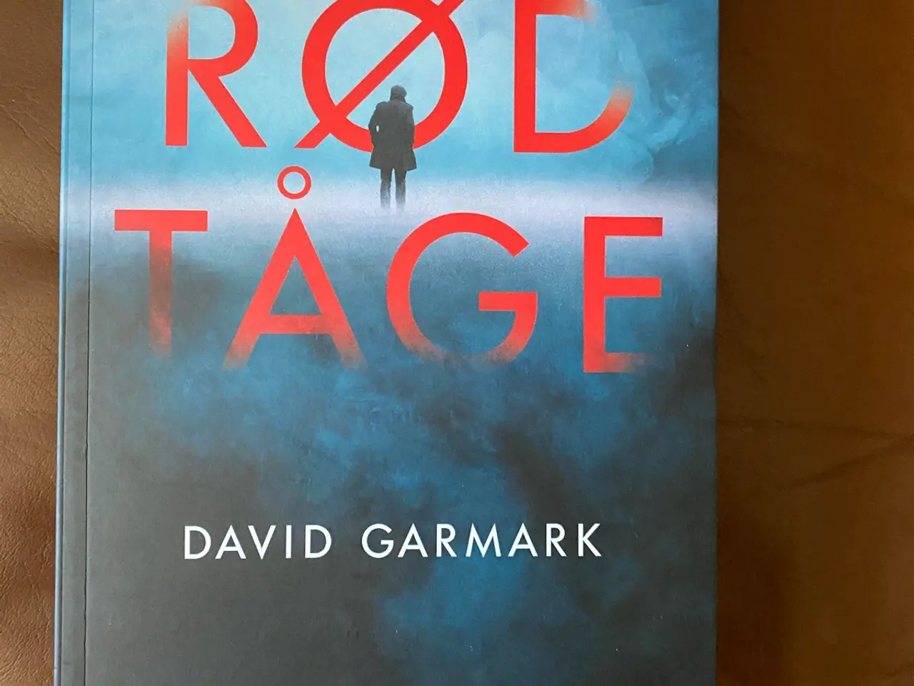 Billede 1 - Rød Tåge - David Garmark