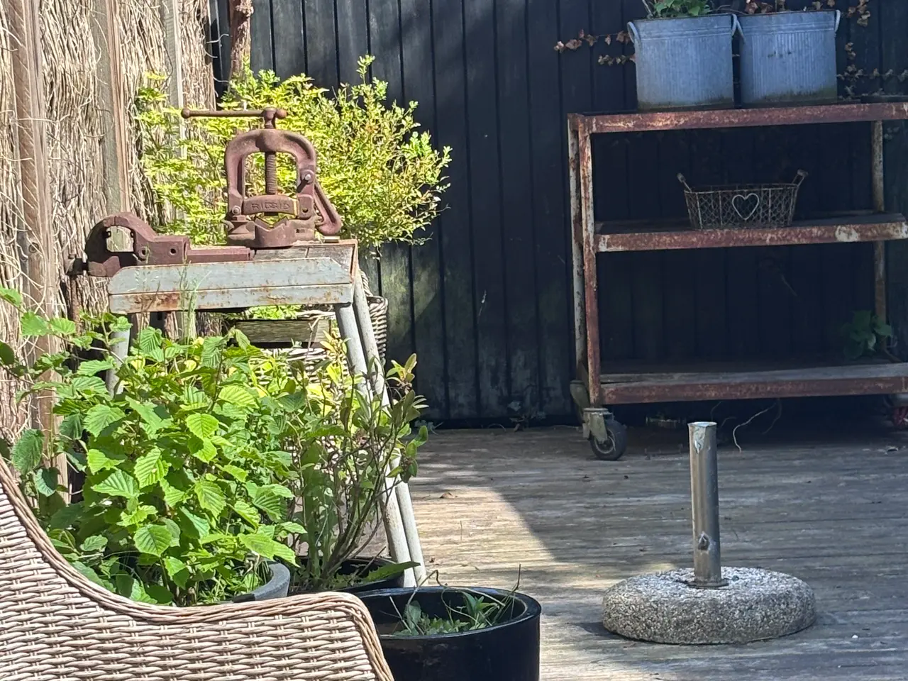 Billede 19 - Kolonihave sælges