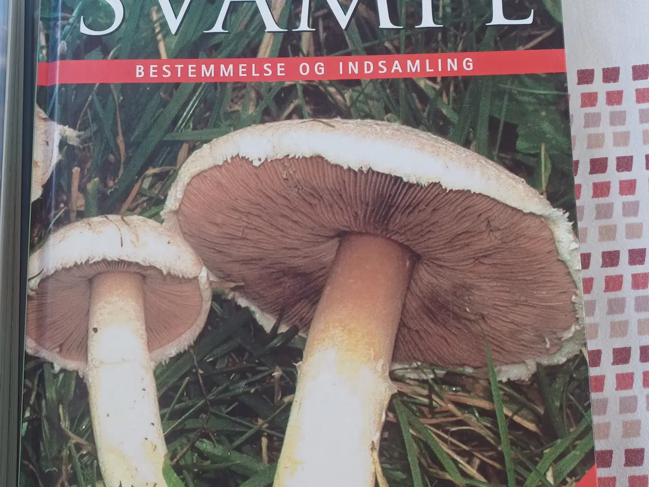 Billede 2 - Stor Fugle og svampebøger- opslagsværker