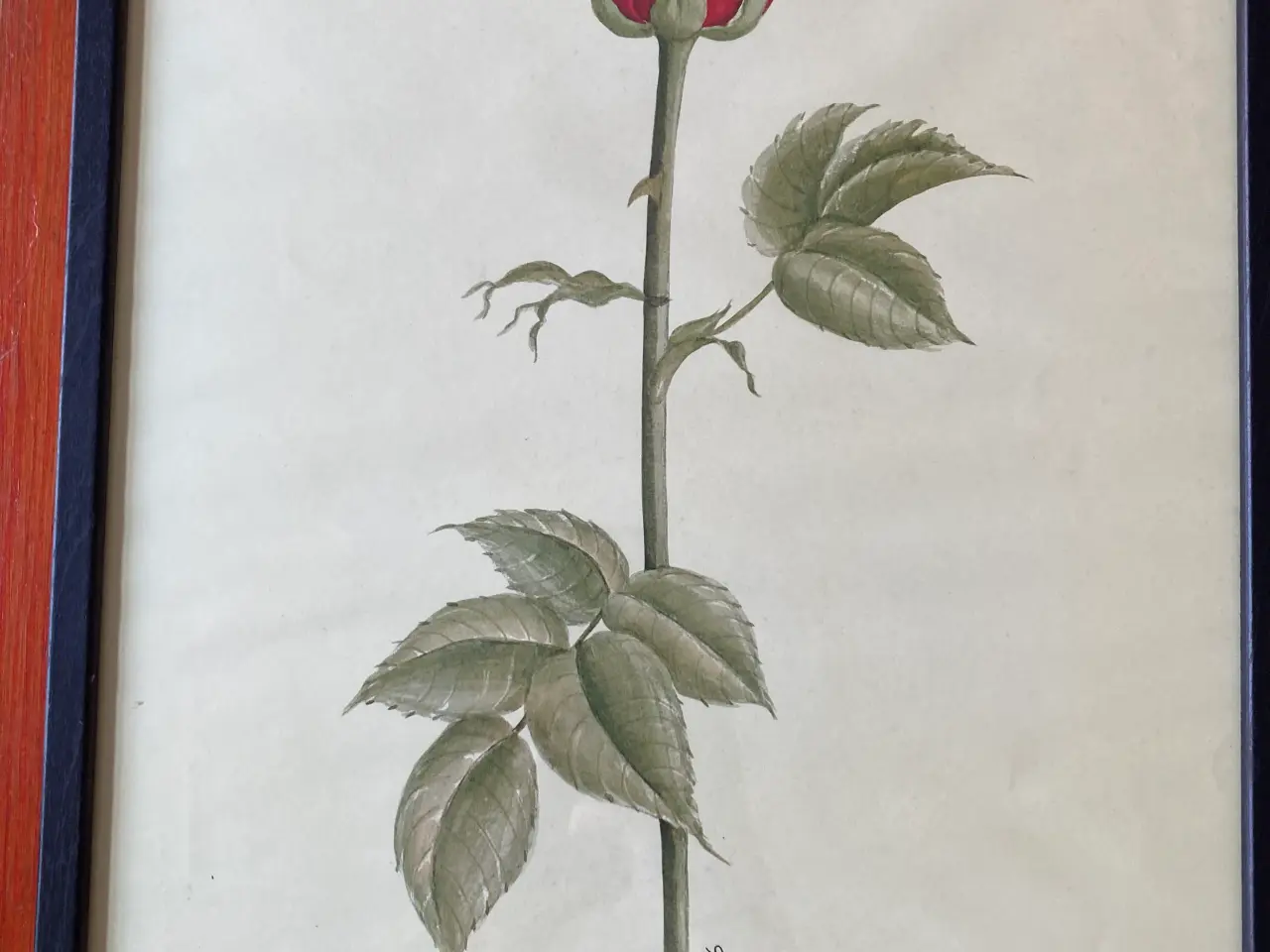 Billede 1 - Billede litografi/tryk lizzi Mallow