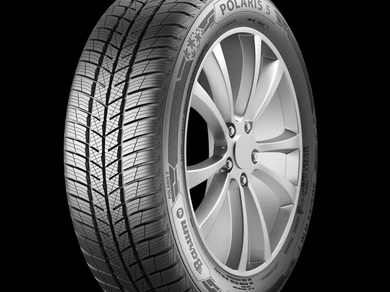 Billede 1 - Vinterdæk Polaris 5 245/45 R19 102V XL