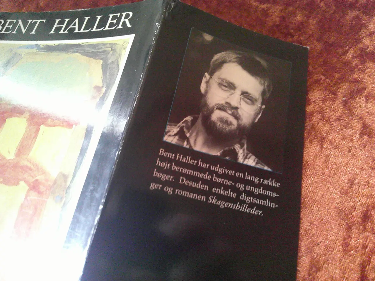Billede 2 - Så mange rum, Bent Haller
