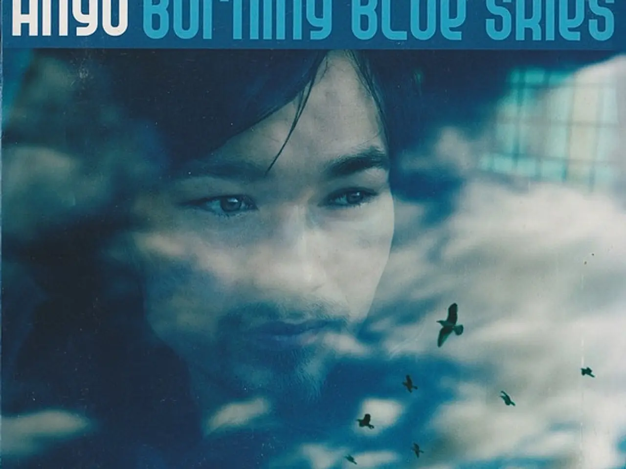 Billede 1 - Angu – Burning Blue Skies – CD