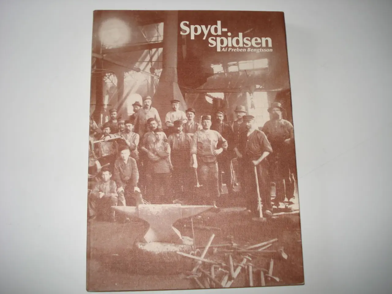 Billede 1 - Spyd-spidsen