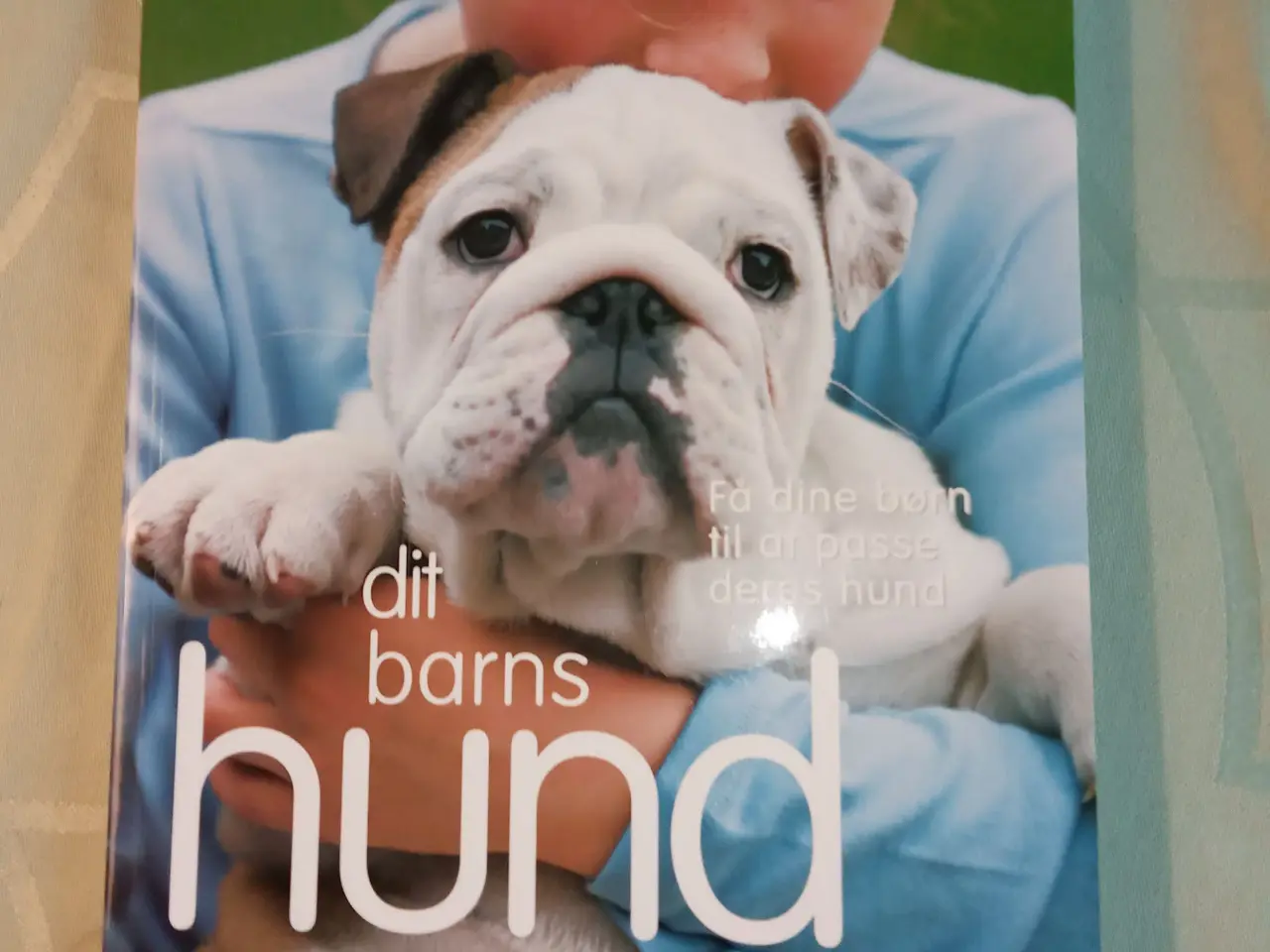 Billede 1 - dit barns hund