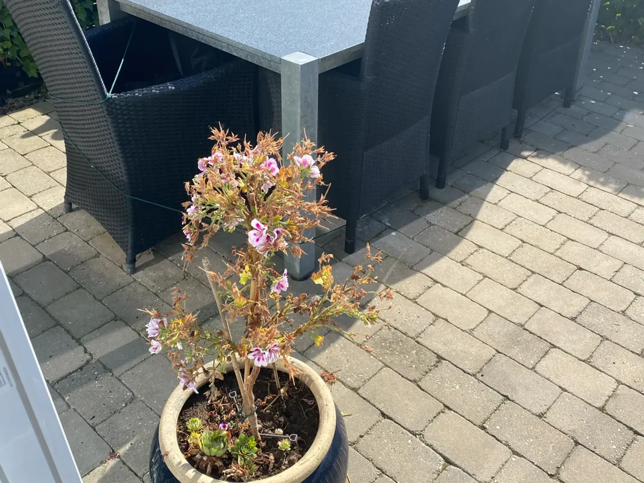 Billede 2 - Granit bordplade i 3 stk l.205 b. 100