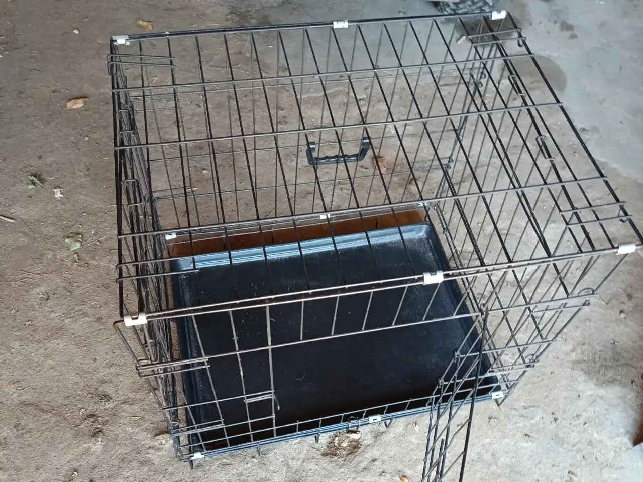 Billede 1 - Mellem hunde bur