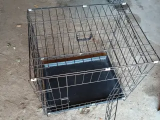 Mellem hunde bur