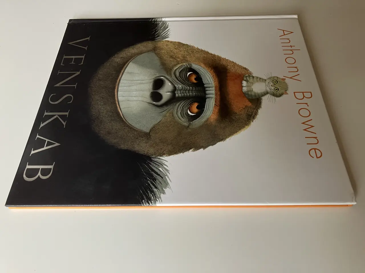 Billede 5 - Venskab. Af Anthony Browne