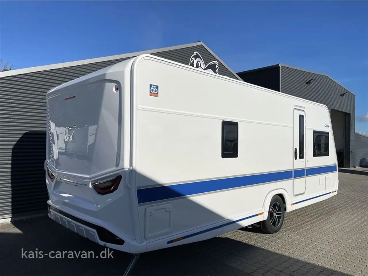 Billede 2 - 2024 - Polar Blueline 590 FWA