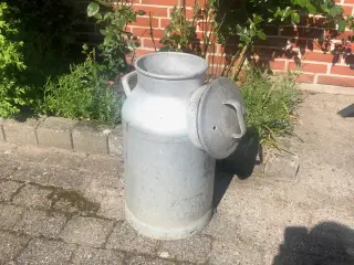Originale flotte mælkejunger