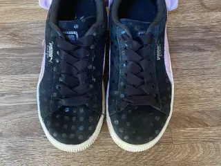 Puma kondisko str str. 29.
